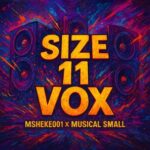 Msheke001, Musical Small – Size 11 Vox