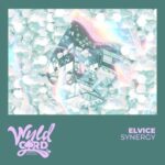Elvice – Synergy