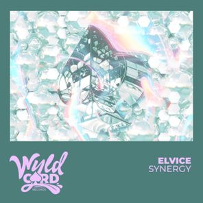 Elvice – Synergy
