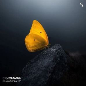 Promenade – Blooming EP