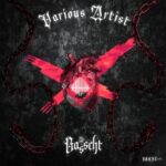 Mediivh, RØMERØ – BSSHT061