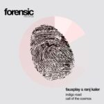 Fauxplay, Ranj Kaler – Indigo Road