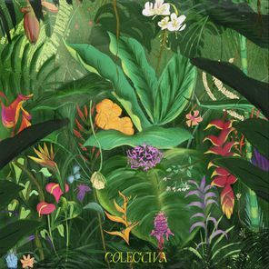 Colectiva – Colectiva