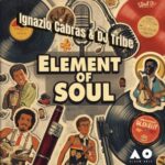 DJ Tribe, Ignazio Cabras – Elements Of Soul