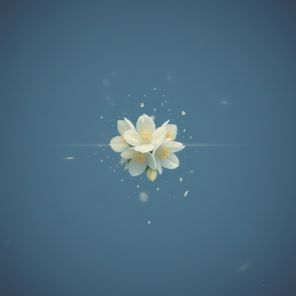 Chris Wei – On Waves