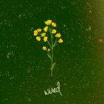 f1e757ac 707a 4305 93ed a069dd30b7a2