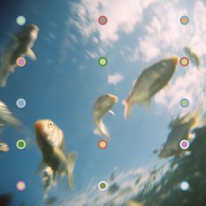 Aladdin – The Aquatic Genie