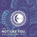 DSF – Not Like You (2025 Organic Mix)