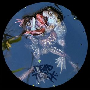 Lo Chi – Dead Man’s Switch