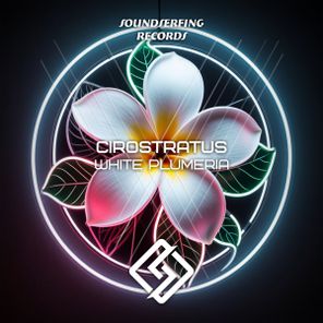 Cirostratus – White Plumeria