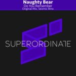 Naughty Bear, Seizmic – Do You Remember