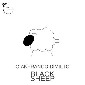 Gianfranco Dimilto – Black Sheep