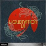 Electrosoul System, Wanted ID – V/A LiquiDNAtion EP Vol.7