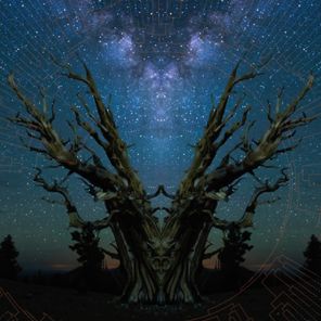 Sadhu Sensi, KR3TURE – Rings of Life