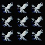 DAM DRE – Let Freedom Ring