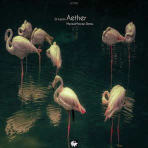 Dj Leoni, MeckaMacke – Aether (MeckaMacke Remix)