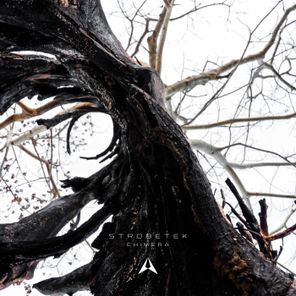Strobetek – Chimera
