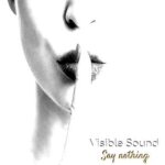 Visible Sound – Say nothing ep