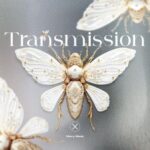Mary Mesk – Transmission