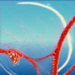 Lauren Mia, Gabrielle Roman – Rhythm of Refuge