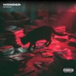 Le Malls – Wonder