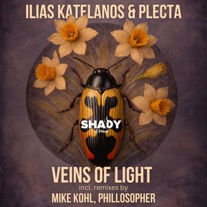 Ilias Katelanos, Plecta – Veins of Light