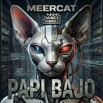Meercat – Papi Bajo