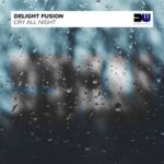 Delight Fusion – Cry All Night