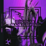 FLEYT5, Mayxer – Night Zero