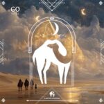 Cafe De Anatolia, TENET – Go