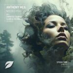 Anthony Mea, Christos Fourkis – Needed You