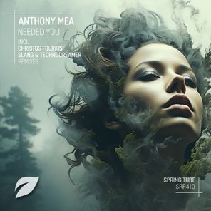 Anthony Mea, Christos Fourkis – Needed You