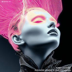 Dave Leatherman, Alexander Koning – Funky Voodoo