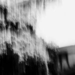 4043ad18 3762 482d 938c a407021fa346