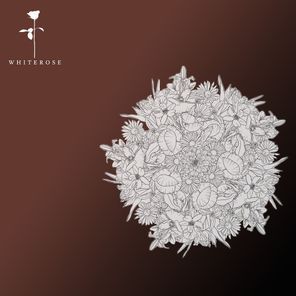 Matara – Feel so Nice