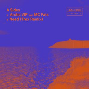 Trex, MC Fats – Arctic VIP ft. MC Fats / Need (Trex Remix)