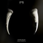 KNTRLVRLST – Public Enemy EP