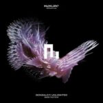 Unlighted, Gonzalo F – Bass Tactics