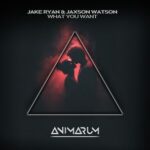 Jaxson Watson, Jake Ryan – What You Want (Extended Mix)