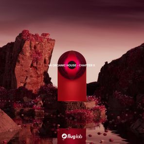 Paul Kenny, Slaqk – Organic House – Chapter II