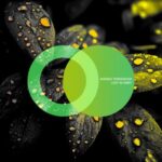 Andrea Terramossi – Lost in Orbit