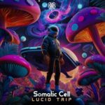 Somatic Cell – Lucid Trip