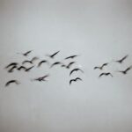 TWO LANES, Nohr – Sign (Revision)