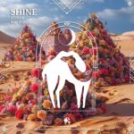 Cafe De Anatolia, FUZIGER – Shine