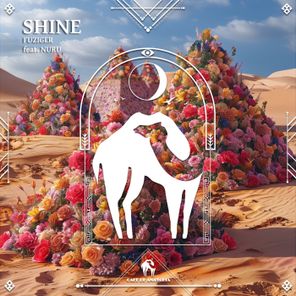 Cafe De Anatolia, FUZIGER – Shine