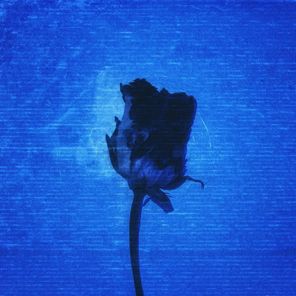 Sugar Rody – Middle East Nights