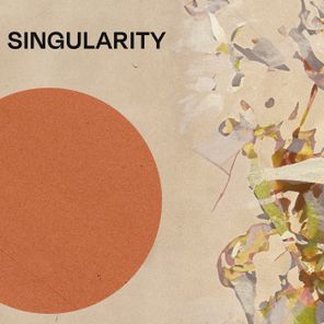 catch92 – Singularity