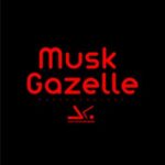 Mustafa Gürhan - Musk Gazelle 3 Mustafa Gürhan – Musk Gazelle