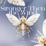 Amir Telem – Stronger Then the Wind