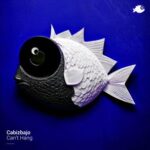 Cabizbajo – Can’t Hang